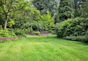 Optimiser l'expérience du jardin à Fleury-devant-Douaumont